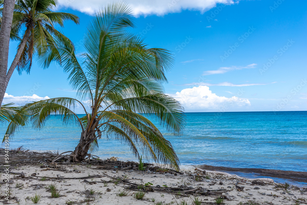 Dominican Republic, beautiful Caribbean coast with turquoise water and palm trees. Dominican Republic, beautiful Caribbean coast with turquoise water and palm trees.