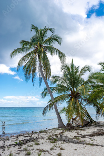 Dominican Republic  beautiful Caribbean coast with turquoise water and palm trees.