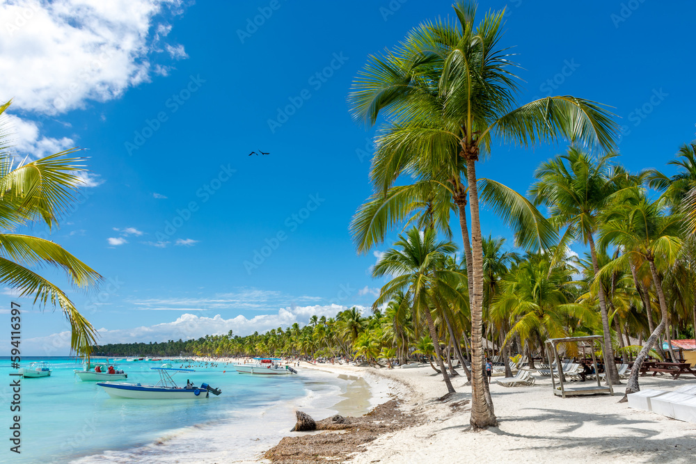 Obraz premium Dominican Republic, beautiful Caribbean coast with turquoise water and palm trees.