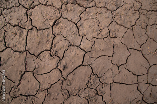 Dry cracked earth background, global warming, climate change concept