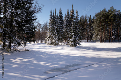 Winter landscape near the Upper Ponds in the Catherine Park of Tsarskoye Selo on a sunny winter day, Pushkin, St. Petersburg, Russia