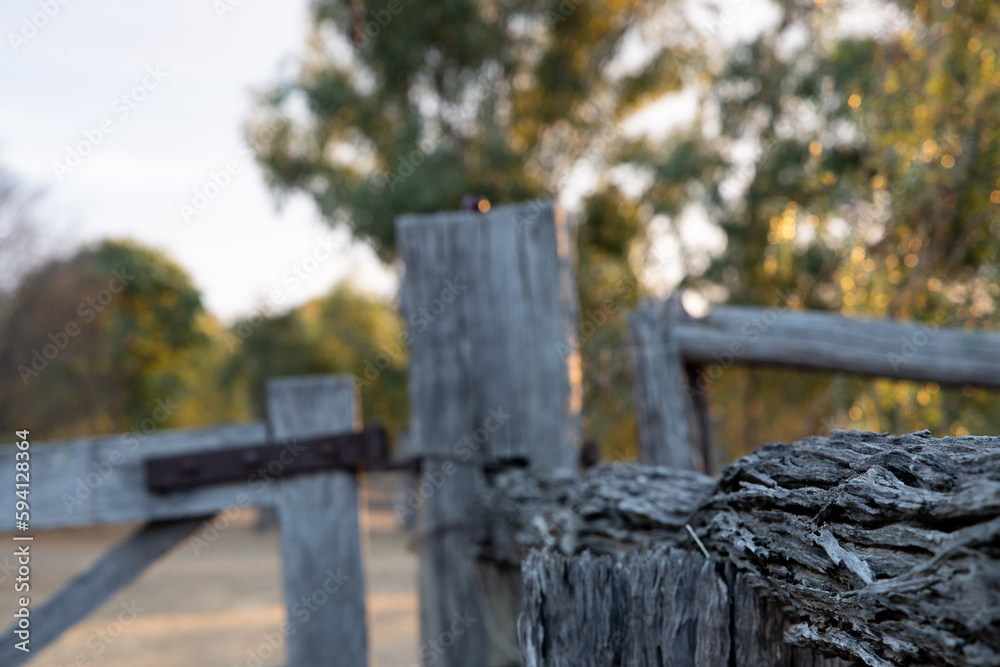 Old wooden fence with gate in front of a tree - closeup of the fence paling