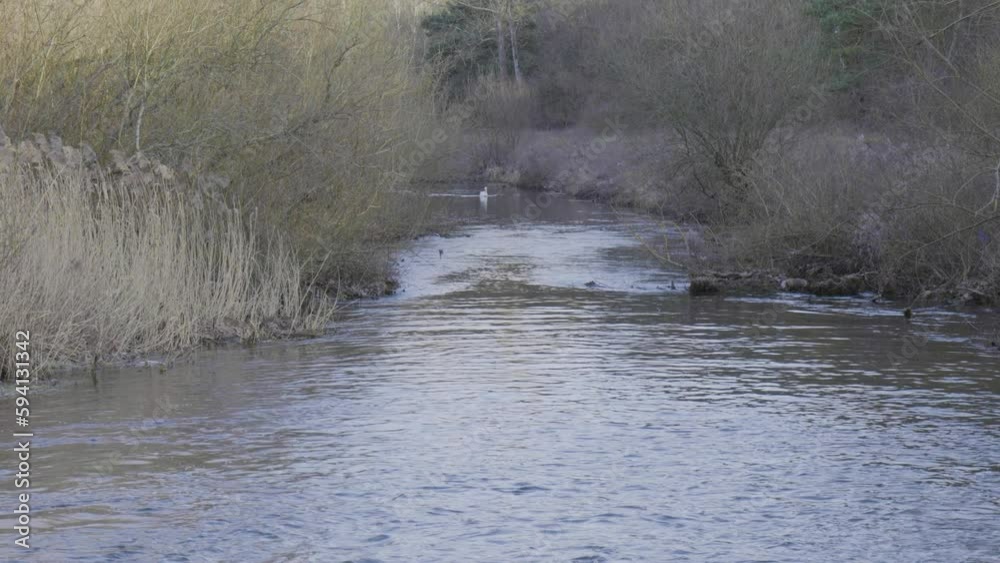 High angle shot over water of river Little Ouse flowing through Thetford forest, Norfolk in England during evening time. High angle shot over water of river Little Ouse flowing through Thetford forest, Norfolk in England during evening time.