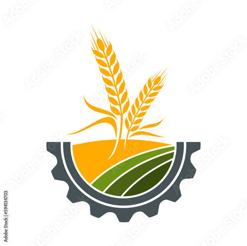 Agriculture icon, field of wheat or farm rye ears and cereal spikes, vector symbol. Farmhouse barley and millet, farmland agriculture and agro industry sign with wheat in gear wheel circle