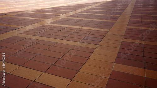red brick floor in a park, closeup of photo with soft focus                               
