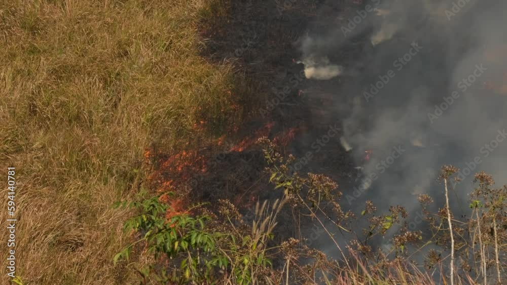 Fire going to the left creating so much smoke and charred plants and grass, controlled or prescribed burning, Thailand. Fire going to the left creating so much smoke and charred plants and grass, controlled or prescribed burning, Thailand.