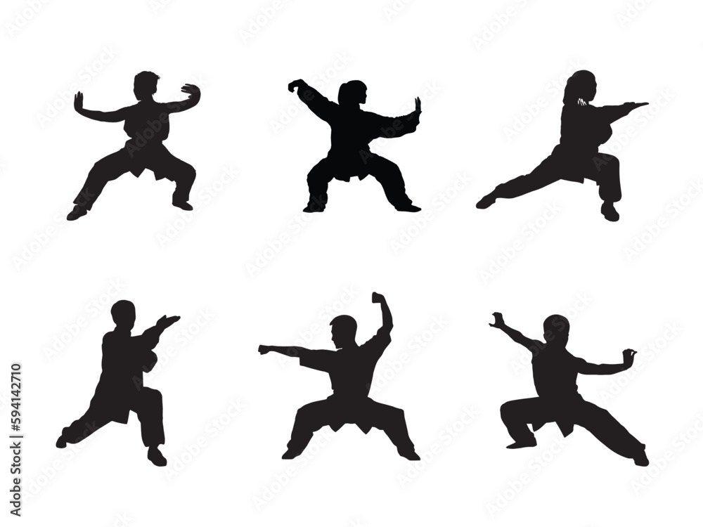 Wushu, kung fu, Taekwondo. Silhouette of people isolated on white ...