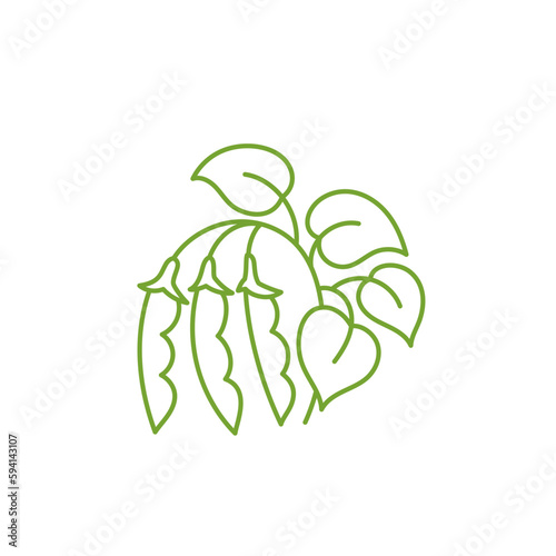 Soy bean plant icon. Flourish design element. Editable outline stroke.