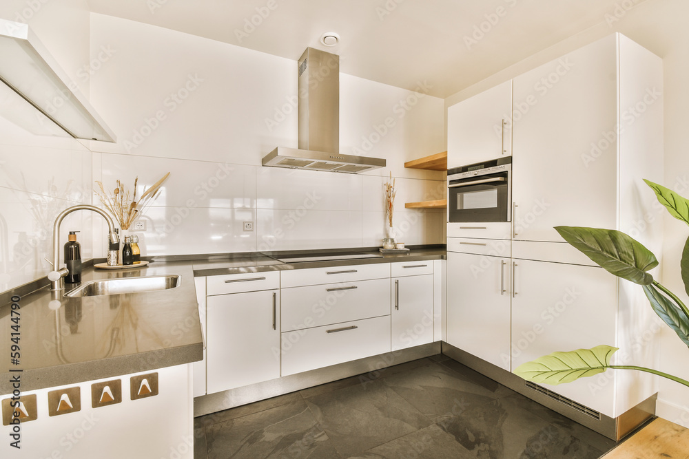 a kitchen area with white cabinets and black counter tops, including a large green plant in the center of the room a kitchen area with white cabinets and black counter tops, including a large green plant in the center of the room