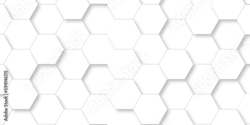 Abstract background with hexagons and 3d Hexagonal structure futuristic white background and Embossed Hexagon , honeycomb white Background ,light and shadow ,Vector.