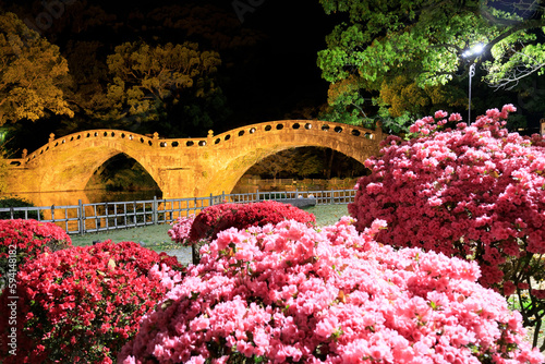 ライトアップされた春の諫早公園の眼鏡橋　長崎県諫早市　Illuminated Megane bridge in Isahaya Park in spring. Nagasaki Pref, Isahaya city. photo