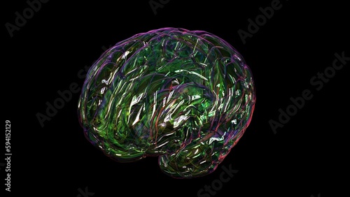 Human brain anatomy for medical concept 3D rendering photo