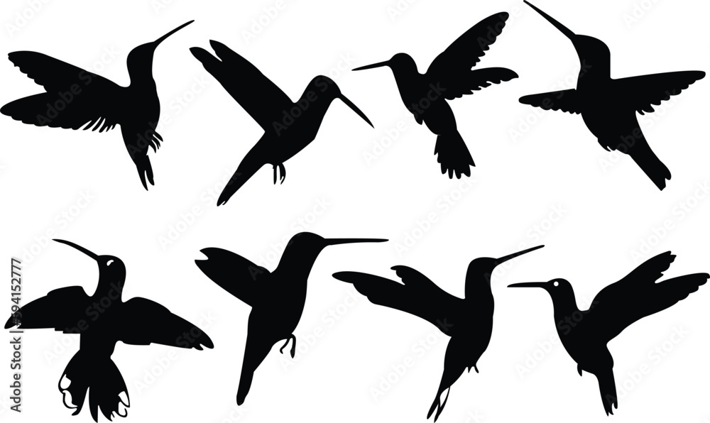 Set of hummingbirds. Hummingbird silhouettes. Hummingbird icons set Set of hummingbirds. Hummingbird silhouettes. Hummingbird icons set