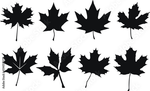 Set of maple leaf silhouettes. Maple leaf vector illustrations set. photo