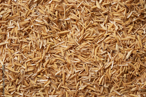 pile of rice Husk or Hull texture background. rice Husk or Hull texture background. rice Husk or Hull texture                                                     