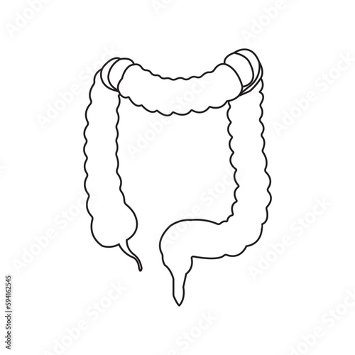 intestines icon