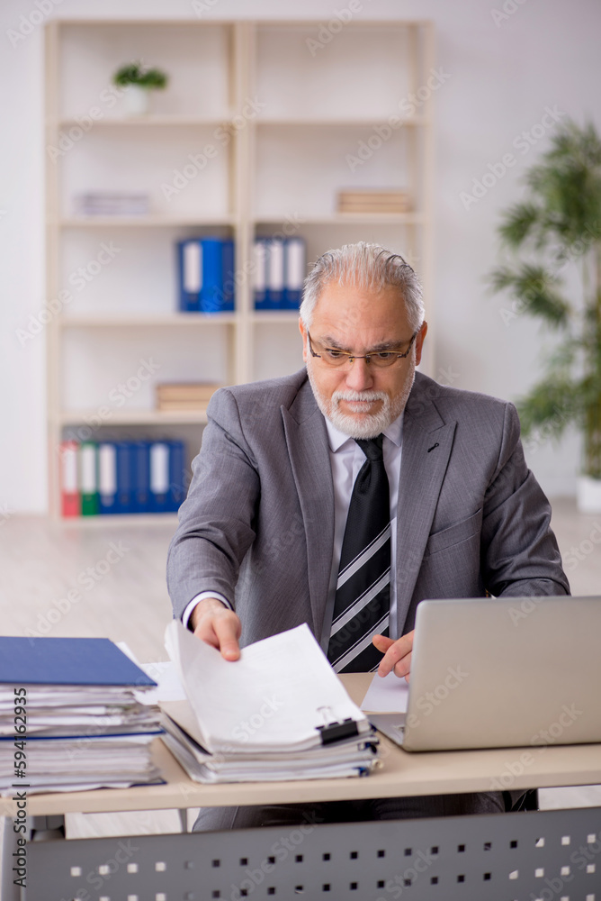 Old male employee working in the office Old male employee working in the office