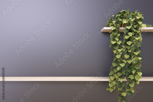 Wooden shelf on black wall with green plant. 