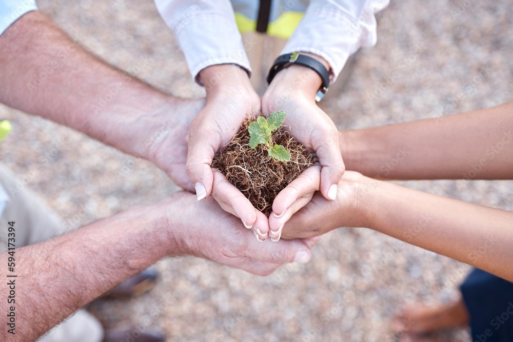 Group of people, plant and hands outdoor gardening, agriculture and growth in collaboration and above teamwork. Palm sapling, soil and women with man in sustainable farming, agro or earth day project Group of people, plant and hands outdoor gardening, agriculture and growth in collaboration and above teamwork. Palm sapling, soil and women with man in sustainable farming, agro or earth day project