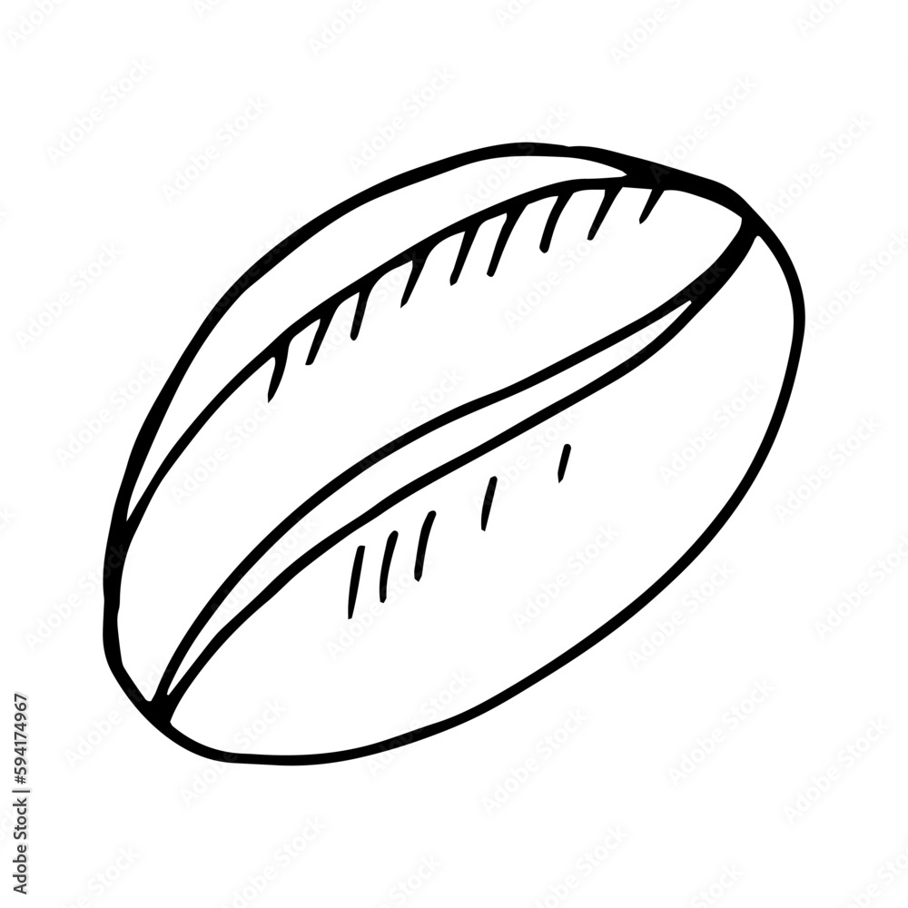 coffee bean hand drawn in doodle style. Suitable for icon, sticker, packaging decor. minimalism, monochrome, Scandinavian coffee bean hand drawn in doodle style. Suitable for icon, sticker, packaging decor. minimalism, monochrome, Scandinavian
