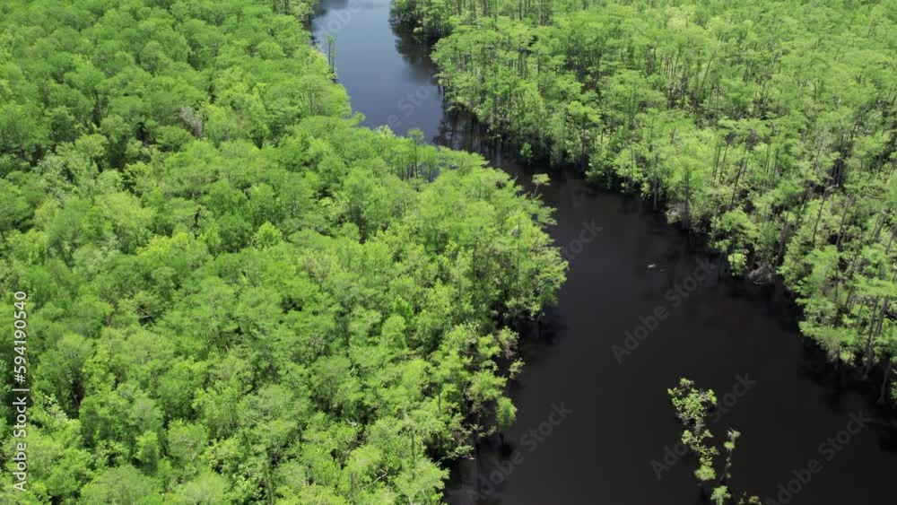 Aerial flight over the upper arm of Dead Lakes in northern Florida Aerial flight over the upper arm of Dead Lakes in northern Florida