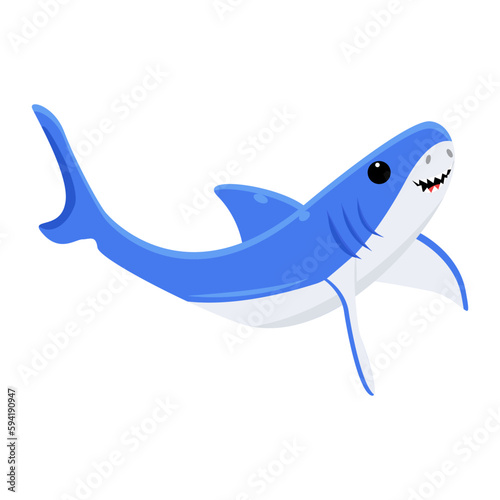 Blue Shark 