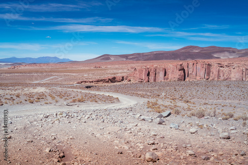 Salar de Chiguana in the Bolivian altiplano photo