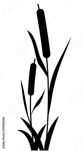Reed water grass plant vector icon isolated on white background. Black silhouette image.