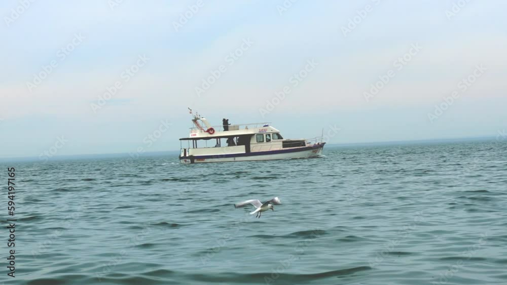 Serene seagull soaring over calm morning ocean. Close-up in slow motion of large seagull flying in sky over sea against background of carabel or boat. Serene seagull soaring over calm morning ocean. Close-up in slow motion of large seagull flying in sky over sea against background of carabel or boat.