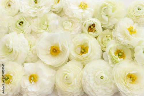 Top view image of white flowers composition