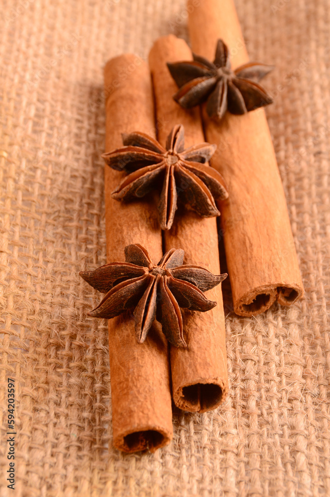 Cinnamon stick and star anise spice. Cinnamon stick and star anise spice.