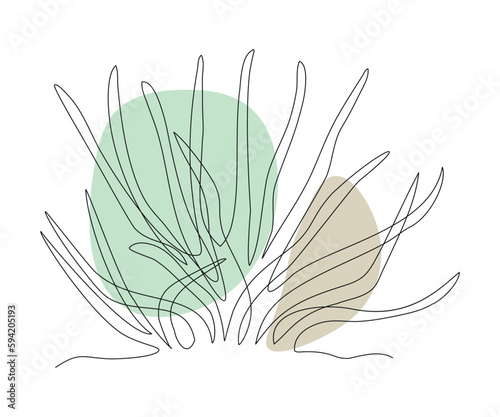 abstract aloe plant, Algae or Grass Continuous One Line Drawing