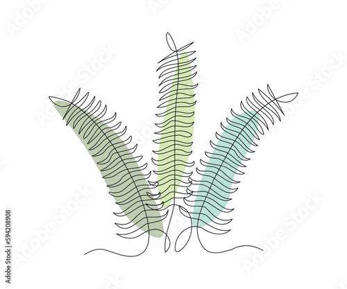 abstract plant fern, algae or Grass Continuous One Line Drawing