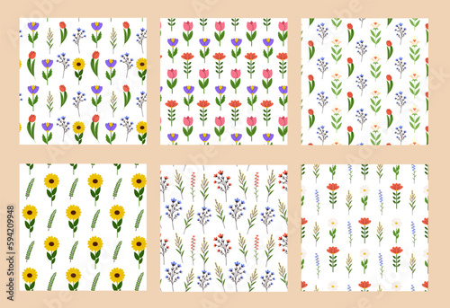 Various garden and field flowers seamless pattern set. Spring and summer floral, repeating print. Botanical background, texture design for textile, fabric, wrapping. Vector flat illustration