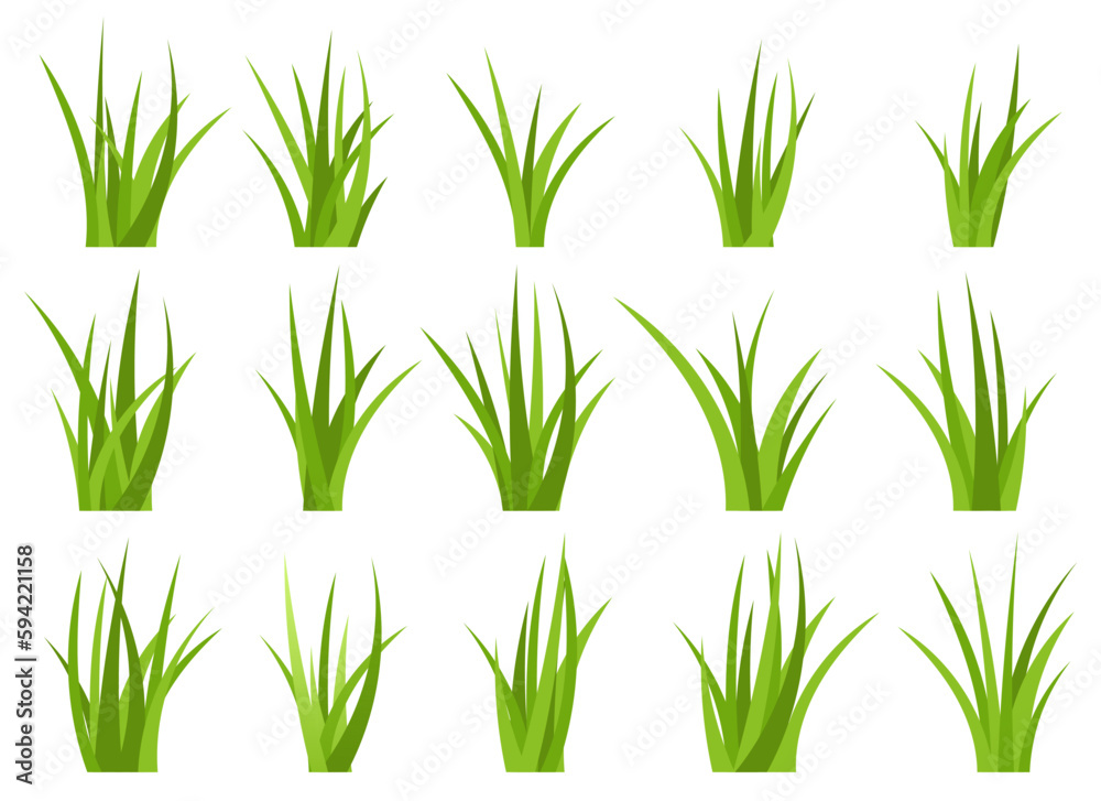 Green grass vector design illustration isolated on white background - obrazy, fototapety, plakaty 