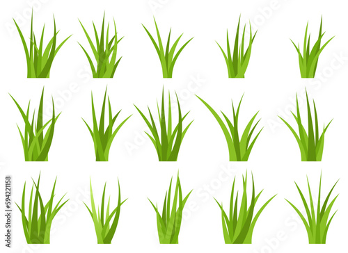 Fotografia, Obraz Green grass vector design illustration isolated on white background