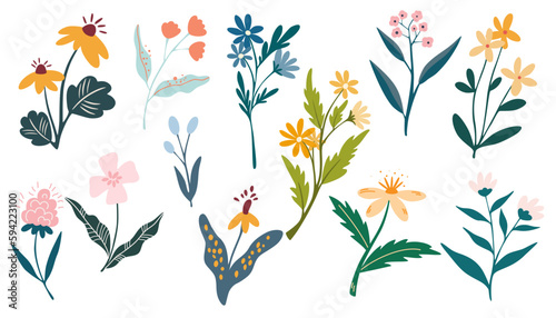 Summer wild flowers set. Floral botanical plants. Meadow and field herbs. Ideal for decoration, postcards, printing, weddings and the web. Vector illustration in hand drawn flat style isolated