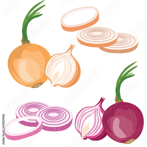 Onion vector set. Red onion with sprouts, leaf, onion ring, onion slice. Flat vector illustration isolated on white background. Cartoon style.