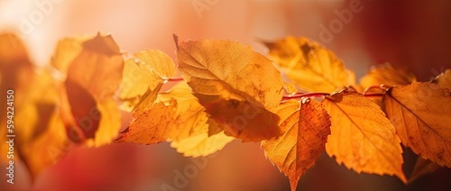 Golden autumn leaves in sunlit sky  perfect. Thanksgiving backdrop with blurred bokeh foliage. Generative AI