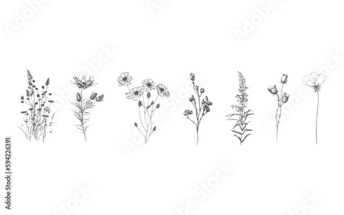 Fototapeta Naklejka Na Ścianę i Meble -  A set of elegant simple wildflowers in neutral black and white colors. Simple and graphic shape, hand drawn line wedding herb and invitation save the date card.