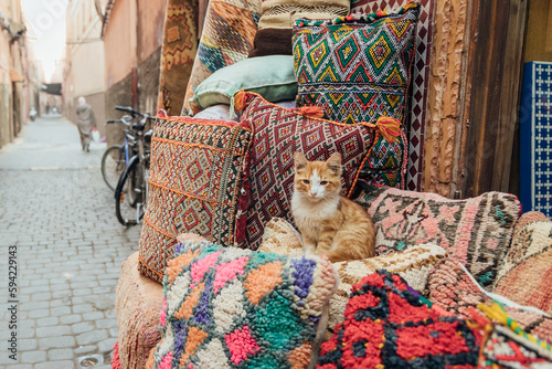 kitten sitting on rugs outside a shop in an alleyway in the medina of marrakech