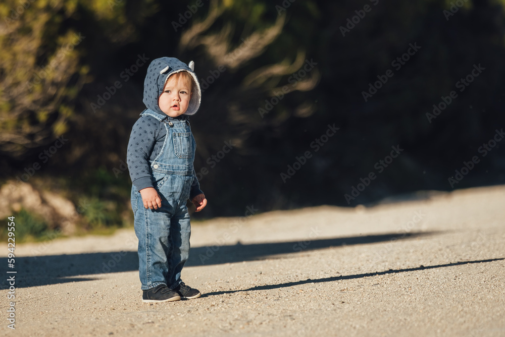 Fototapeta premium Portrait of beautiful two year old little boy in hoody standing on a path