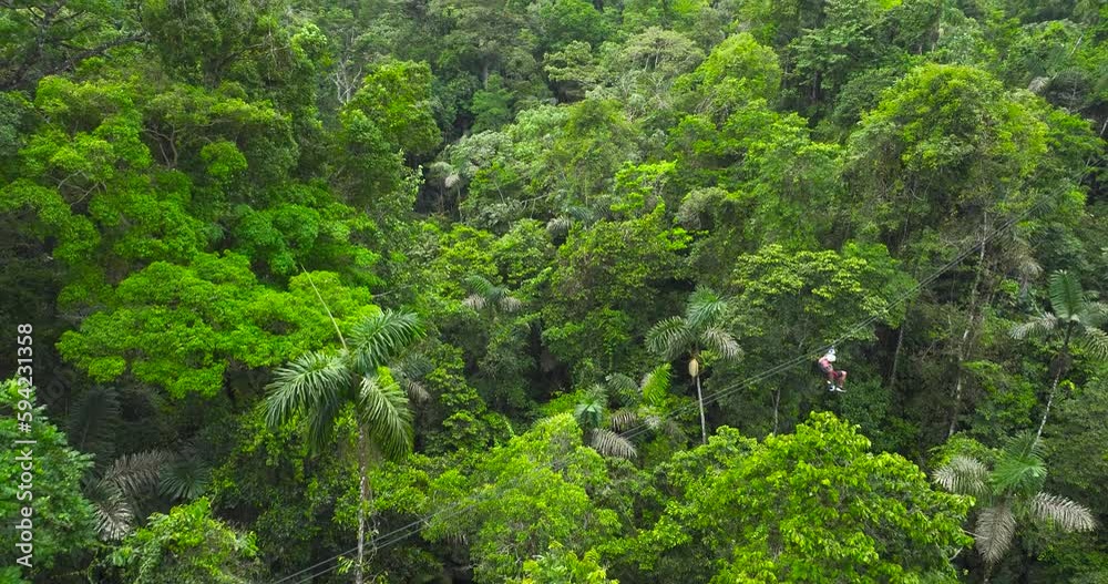 A person coming down from a mountain to the valley on a suspended zipline, surrounded by lush vegetation. Aerial drone view, forward movement.
