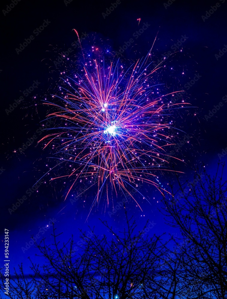 Vertical shot of violet purple and blue fireworks in a foggy night sky. Italy Vertical shot of violet purple and blue fireworks in a foggy night sky. Italy