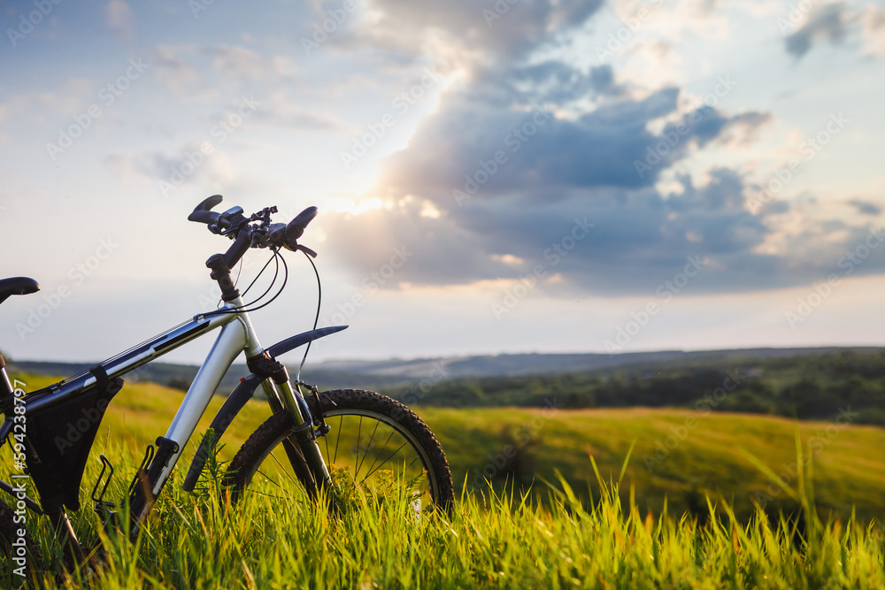Naklejka premium Bicycle on the spring meadow. Travel, sport, lifestyle concept
