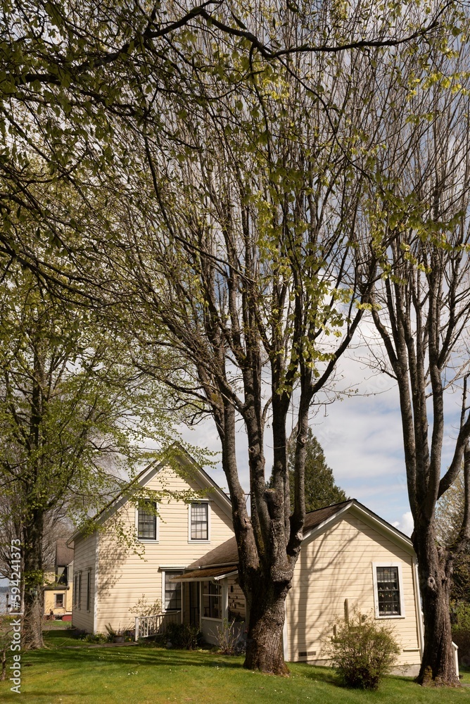 Vertical shot of the houses in Port Gamble, Washington, USA Vertical shot of the houses in Port Gamble, Washington, USA