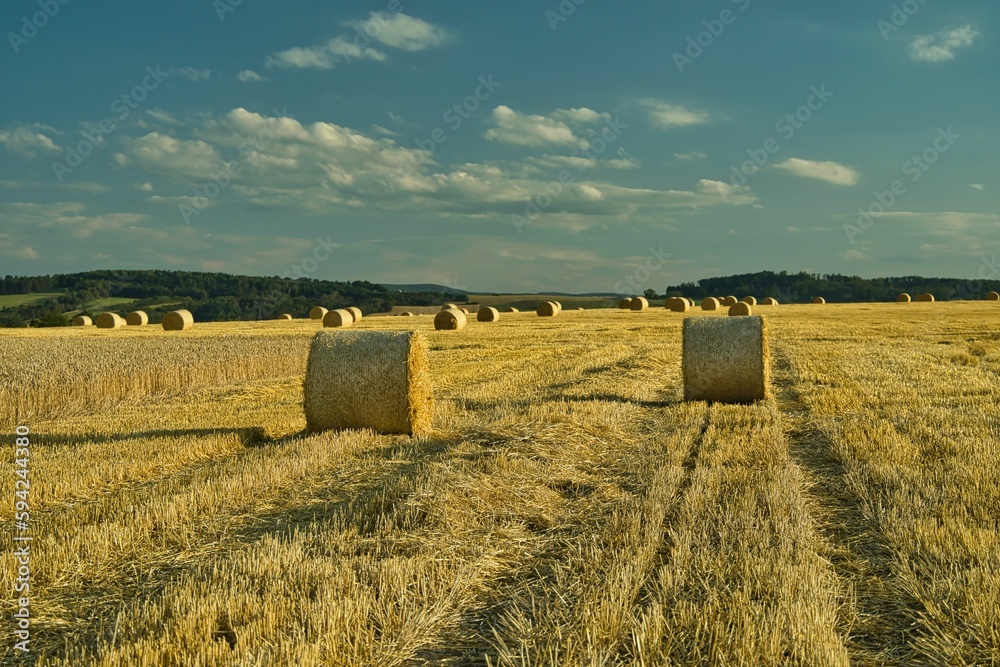round hay bales in the field