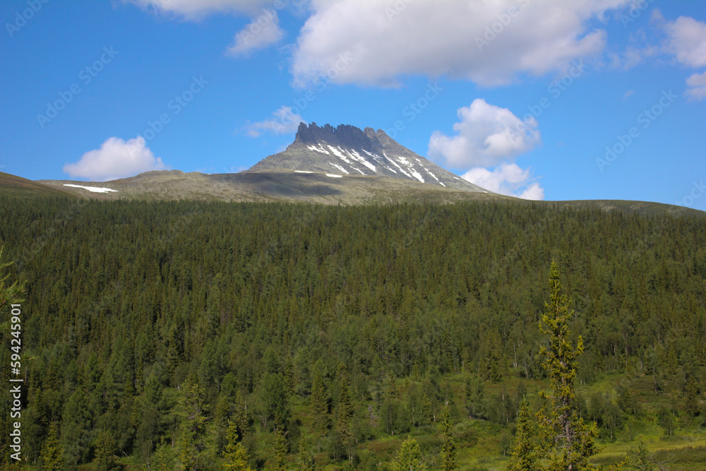 Manaraga peak in Nether-Polar Ural mountains, Russia at sunny summer day. Forest on foreground