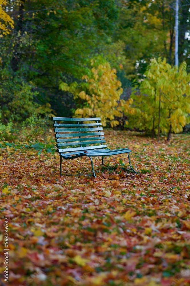Vertical shot of a green bench in a park in Ottawa, Canada, full of autumn leaves and trees