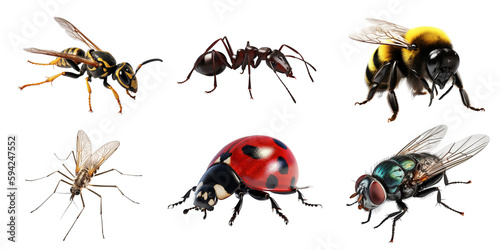 Insect set over png background created with Ai technology